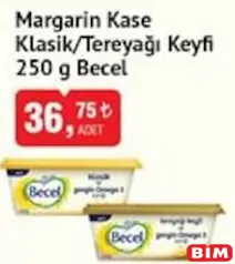 BECEL MARGARİN KASE KLASİK/TEREYAĞI KEYFİ 250 G fiyat ve kampanya bilgisi